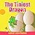 The Tiniest Dragon by Arnie Lightning