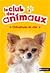 Chihuahuas de star (Le club des animaux, #2)