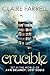 Crucible: A Phoenix Novella