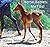 Horse Babies: My Foal Pictures
