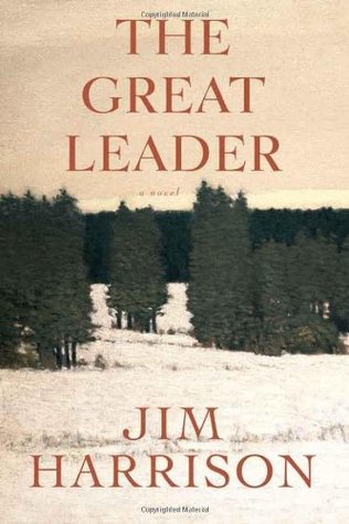 The Great Leader (Hardcover)