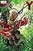 Y: The Last Man #25