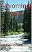 Wyoming Wild by Michele Tolbert-Upton