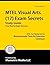 MTEL Visual Arts (17) Exam ...