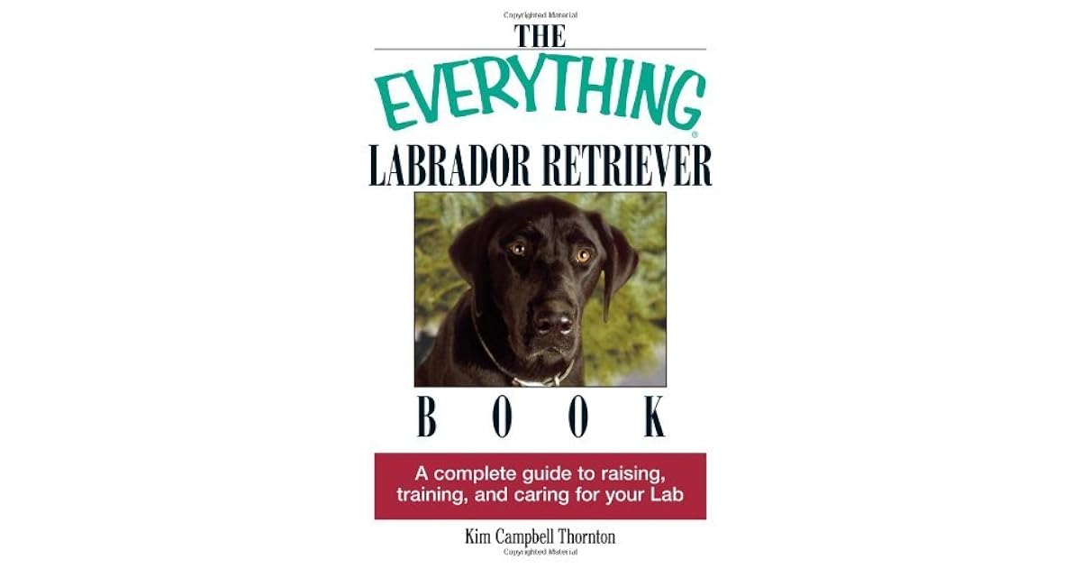The Everything Labrador Retriever Book A Complete Guide to Raising