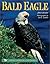 Bald Eagle 2004 Calendar by Lon E. Lauber