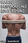 Harte Bestrafung [Gay BDSM] (German Edition)