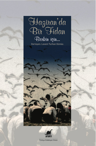 Haziran'da Bir Fidan: Berkin İçin (Paperback)