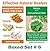 Health Benefits of Turmeric, Ginger, Garlic and Healing Powers of Neem: Effective Natural Healers - Boxed Set # 6 - Turmeric Benefits, Ginger Benefits, Garlic Benefits, Neem Benefits