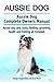 Aussie Dog. Aussie dog care, costs, feeding, grooming, health and training all included. Aussie Dog Complete Owners Manual.