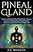Pineal Gland by S.J. Morgan