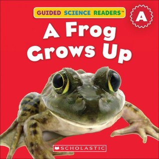 A Frog Grows Up