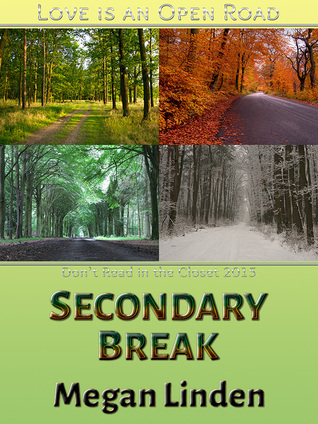 Secondary Break (ebook)