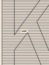 Svědek (Hardcover)