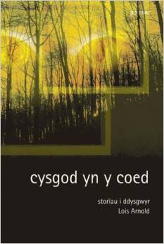 Cysgod yn y Coed (Paperback)