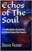 Echos of the Soul