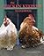 The Chicken Keepers Handbook