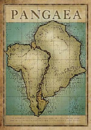 Pangaea: New Art from Africa & Latin America