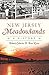 New Jersey Meadowlands: A History (Brief History)