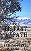 A Distant Path: A Civil War Story of the Southwest