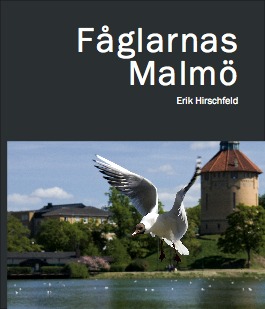 Malmös fåglar