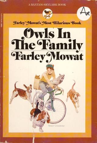 Owls in the Family