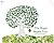 The Magic Maple Tree
