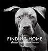 Finding Home: Shelter Dogs & Their Stories Finding Home: Shelter Dogs & Their Stories