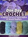 One Day Crochet: 23 Amazing and Unique Afghan Projects for Absolute Beginners (one day crochet, one day crochet books, one day crocheting)