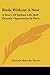 Birds Without A Nest by Clorinda Matto de Turner