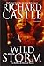 Wild Storm (Derrick Storm, #5)