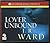 Lover Unbound (Black Dagger Brotherhood, #5)