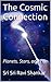 The Cosmic Connection by Ravi     Shankar
