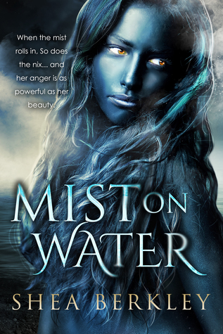 Mist on Water (Paperback)