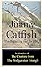 Jimmy Catfish - The Beginni...