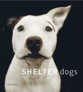 Shelter Dogs (Hardcover)