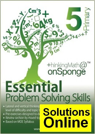 P5 Essential Problem Solving Skills