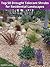Top 50 Drought Tolerant Shrubs for Residential Landscapes