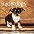 Underdogs: Beauty Is More Than Fur Deep