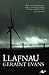 Llafnau (Nofelau Ditectif Gareth Prior Book 2) (Welsh Edition)