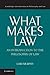 What Makes Law: An Introduction to the Philosophy of Law (Cambridge Introductions to Philosophy and Law)