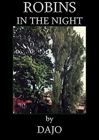 Robins in the Night (Kindle Edition)