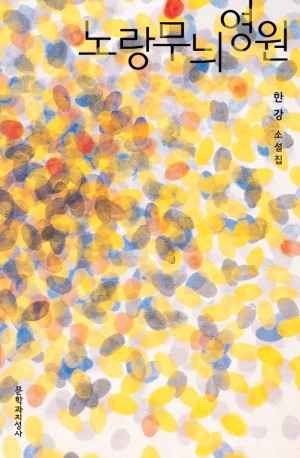 노랑무늬영원 (Hardcover)
