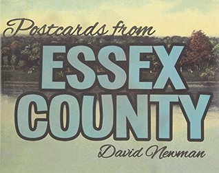 Postcards from Essex County (Paperback)
