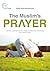 The Muslim’s Prayer by Fahd Salem Bahammam