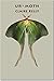 Ur-Moth