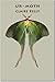 Ur-Moth by Claire   Kelly