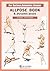 [Allpose Book] B_Dynamic po...