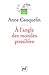 À l'angle des mondes possibles by Anne Cauquelin