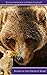 Bunny and the Grizzly Bear ...